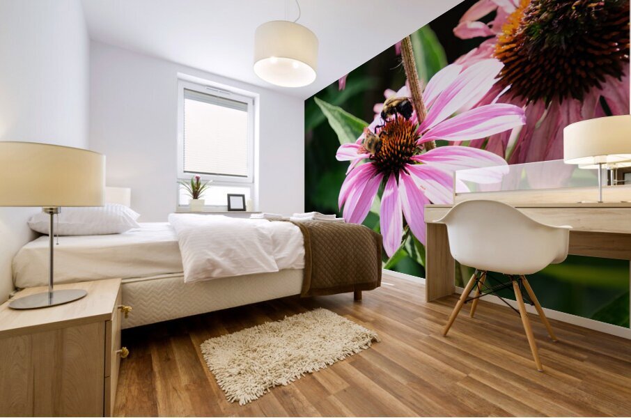 Duo at Dawn: Bees on the Coneflower’s Crown Mural print