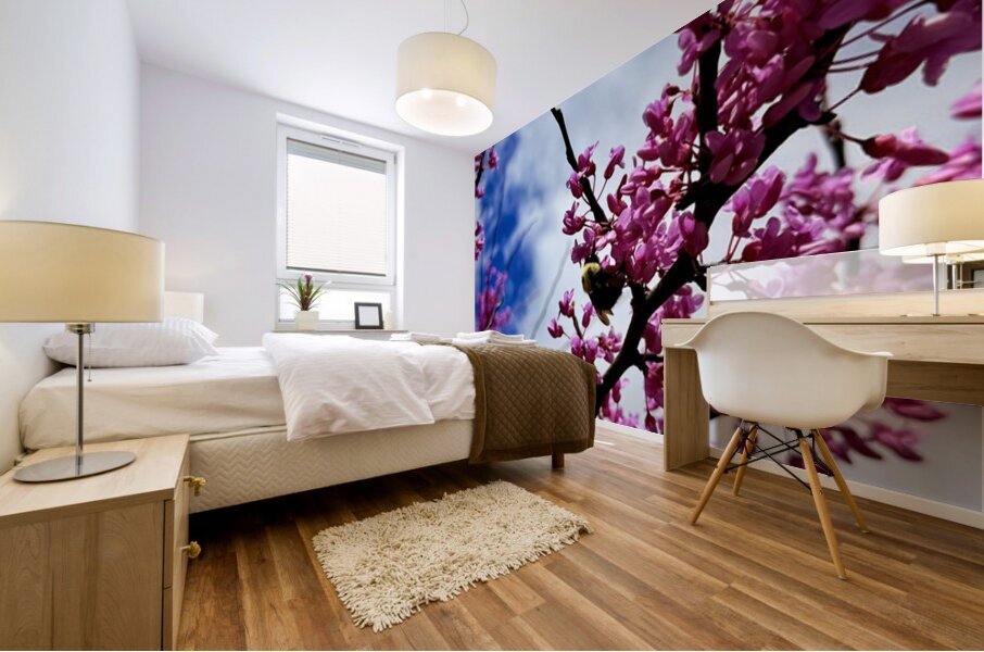 IMG 1550 Mural print