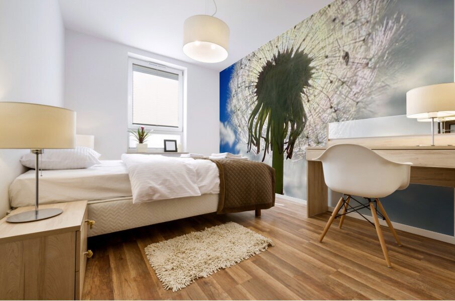 IMG 1743 Mural print