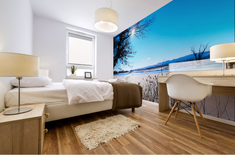 Winterscape 2B Mural print