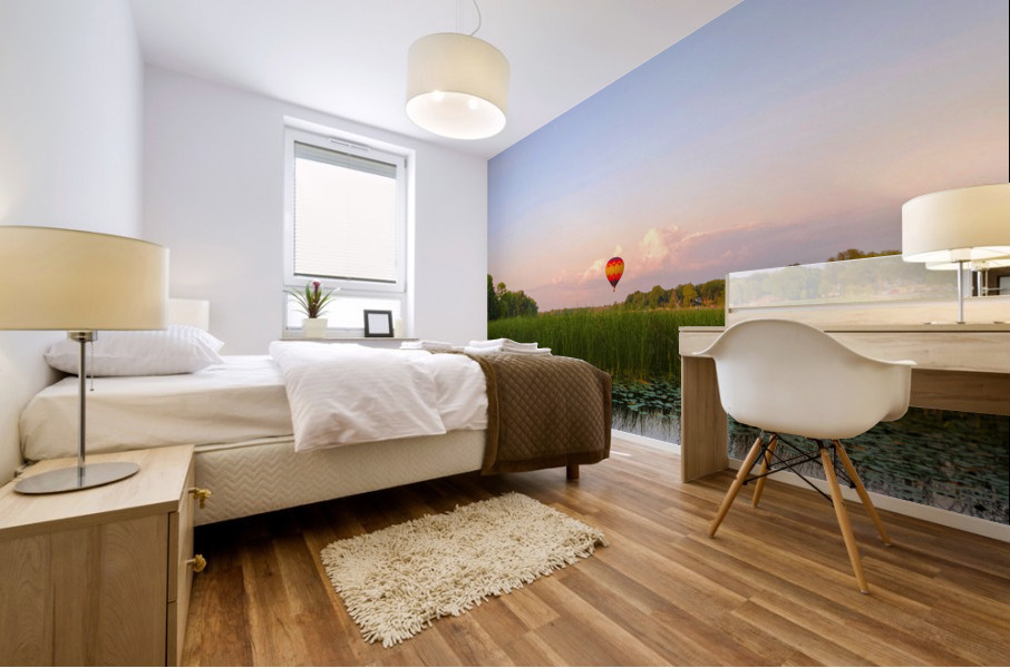 Balloon Over Long Lake Mural print