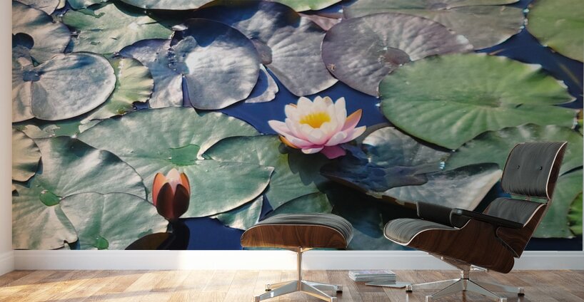 Lotus Lily Love: Promise of the Bloom Wall Murals