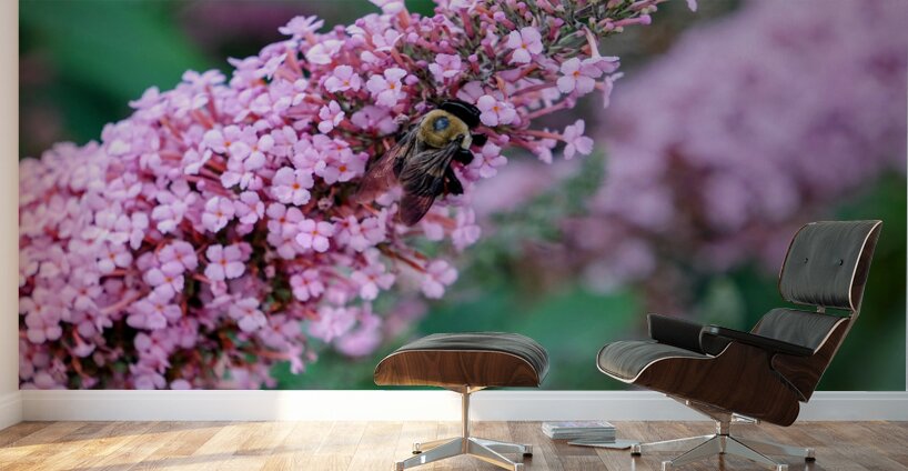 Sustaining Grace:  The Bee and the Butterfly Bush Wall Murals