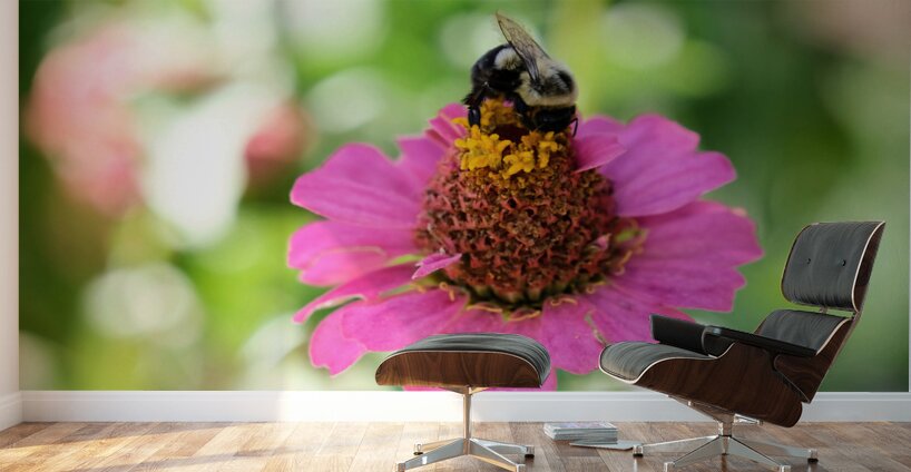 Petals and Purpose: An Ode to Quiet Industry Wall Murals