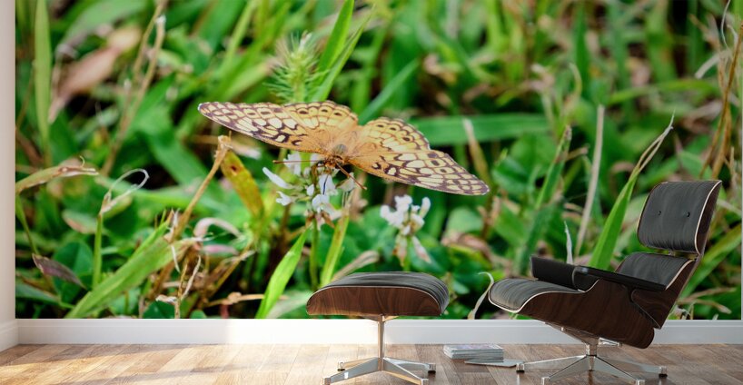 Buttery Butterfly as Omen of Calm Wall Murals