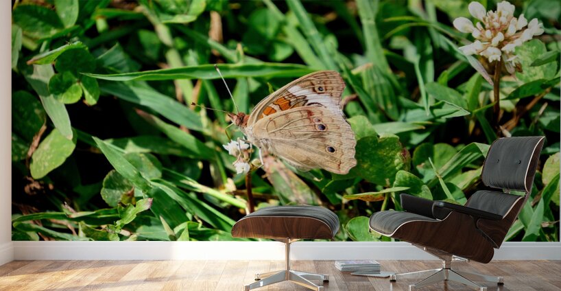 Ephemeral Spirits in Green Silence Wall Murals