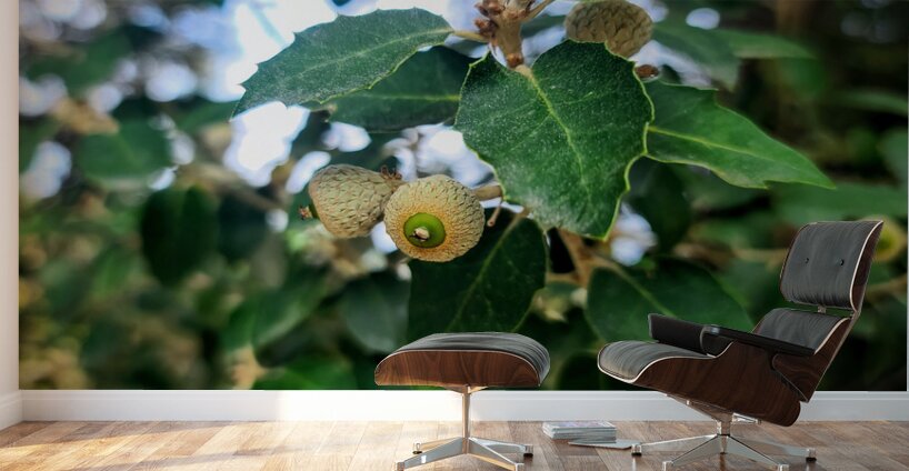 Emergence in Green Wall Murals