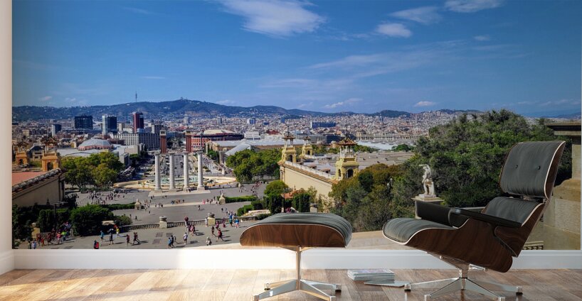 The Pulse of Catalunya: Barcelona View from Museum of Catalan Visual Arts Wall Murals