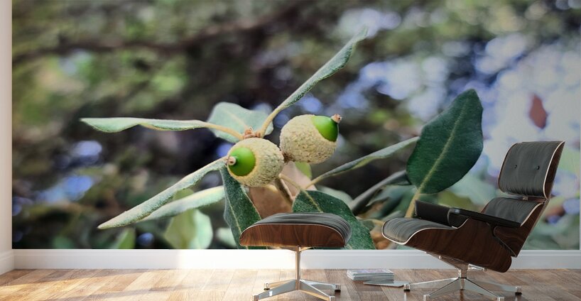 Nature’s Little Lanterns: A Hidden Symphony of Light and Green Wall Murals