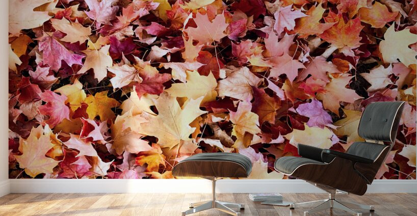 Natural Carpet: Fall’s Confetti Wall Murals