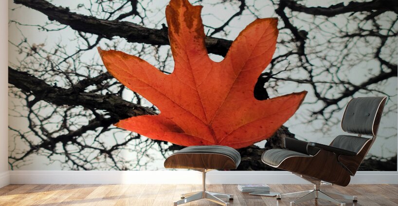 A Fallen Farewell : Defiant Ember Wall Murals