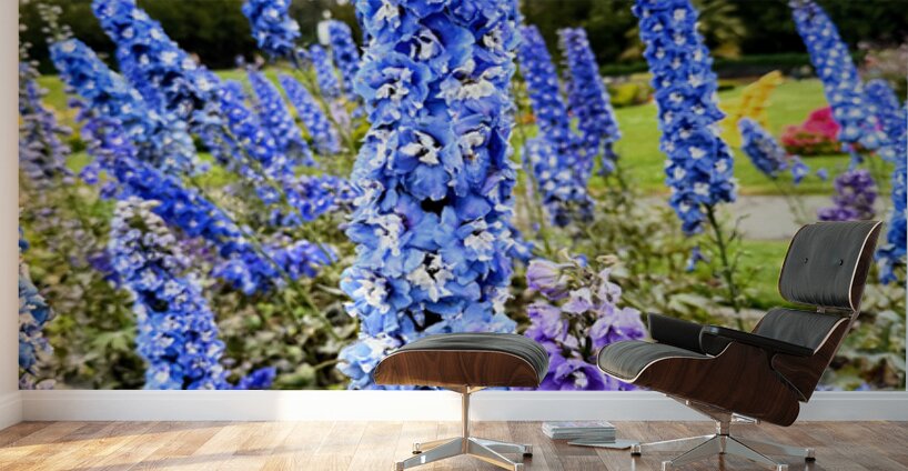 Whispers in Ultramarine Wall Murals