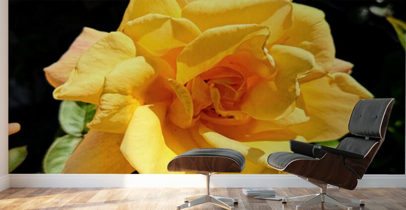 Sunwrought Yellow Rose Wall Murals