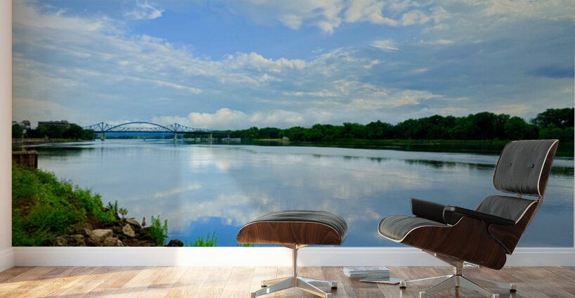 Whispers Between the Sky and Stream Wall Murals