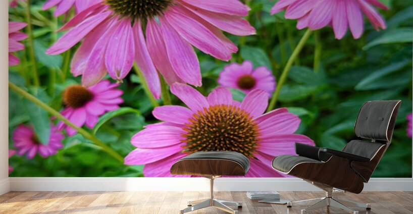 Petal Parade Wall Murals