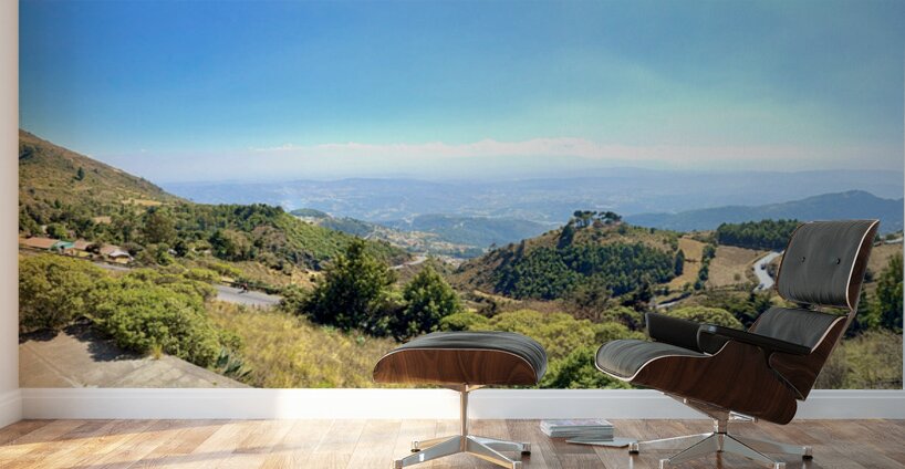 IMG 9665 Wall Murals