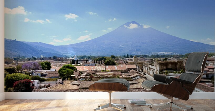 IMG 0157 Wall Murals