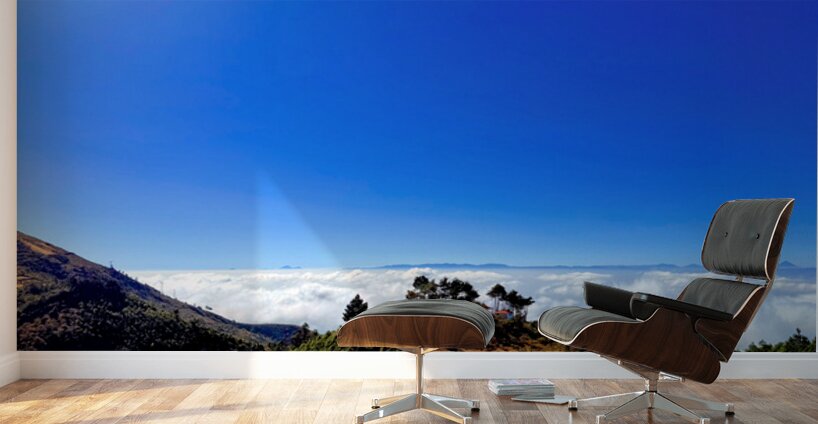 IMG 9121 EDIT Wall Murals