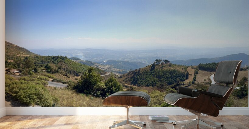 IMG 9668 Wall Murals