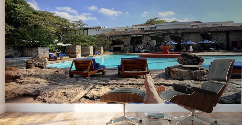 IMG 0342 Wall Murals