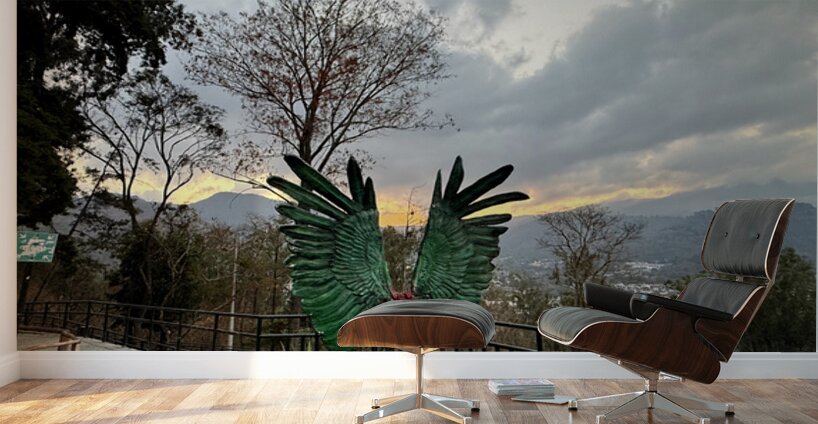 IMG 0467 Wall Murals