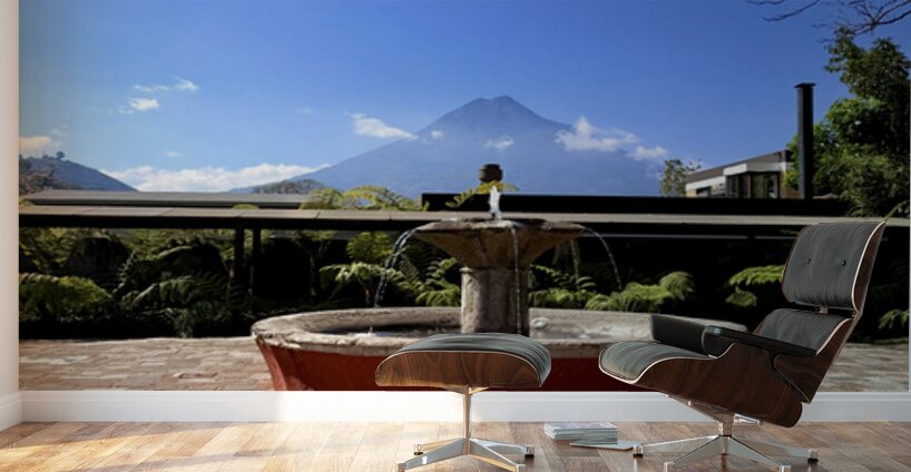 IMG 0032 Wall Murals