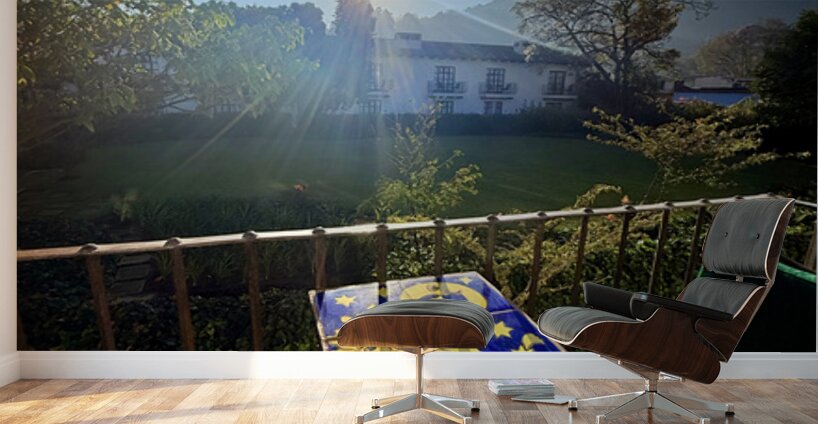 IMG 0005 Wall Murals