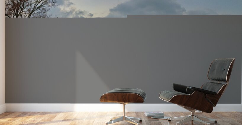 IMG 0479 Wall Murals