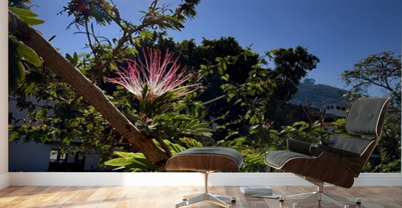 IMG 0024 Wall Murals