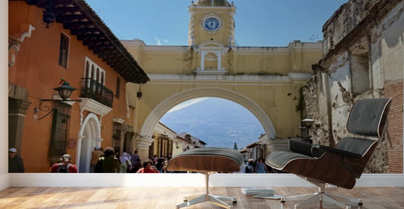 IMG 0219 Wall Murals