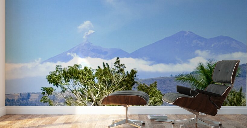 IMG 0158 Wall Murals