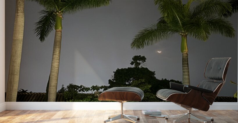 IMG 0441 Wall Murals