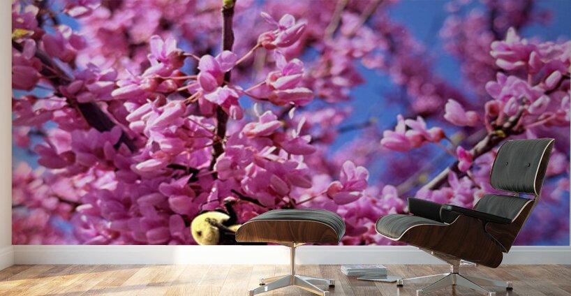 Bloom Diver Wall Murals