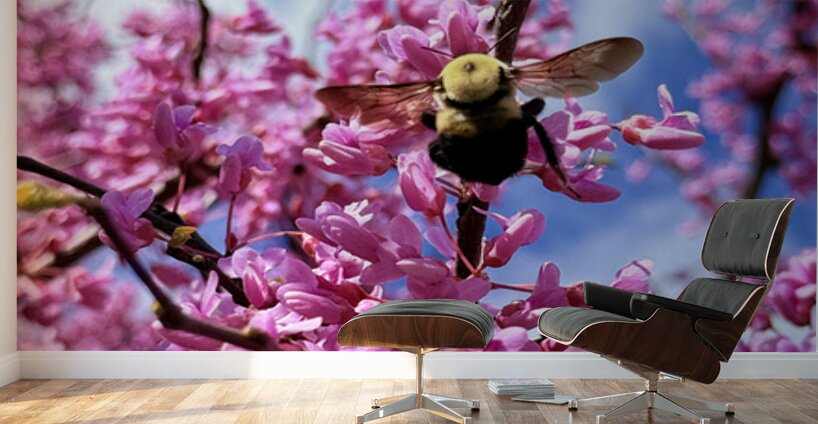 The Bloom Rider Wall Murals