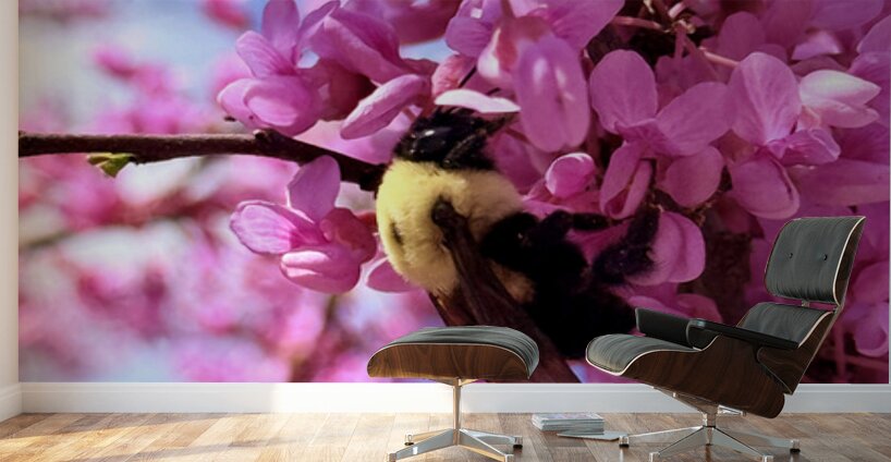 Spring Patrol Wall Murals