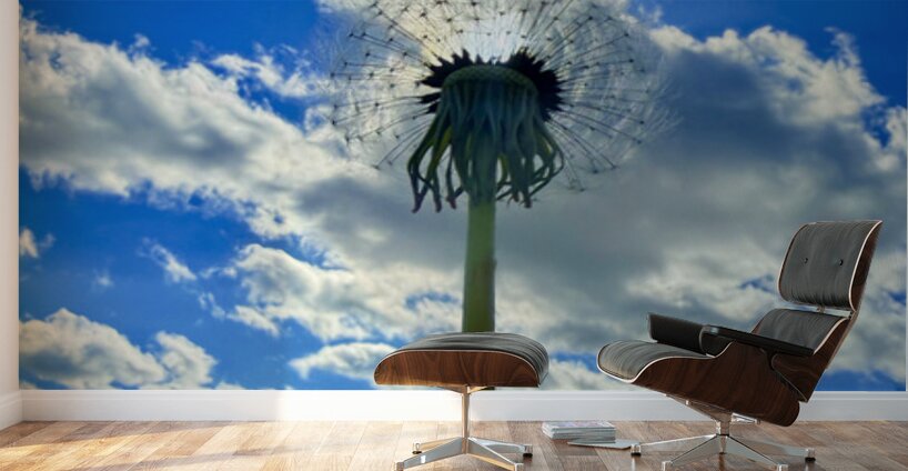 IMG 1755 Wall Murals