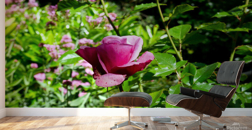 Penelope Purple Wall Murals