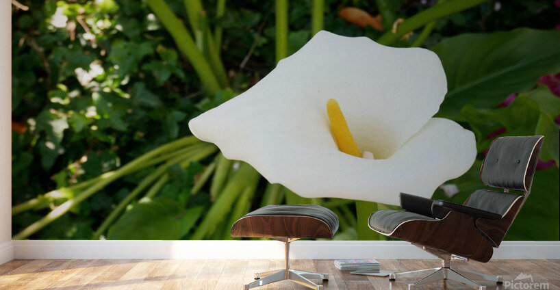 Golden Rod Exposed Wall Murals