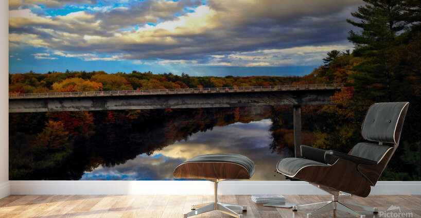 MI Reflections Wall Murals