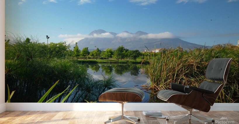 Out of Africa 2 Wall Murals