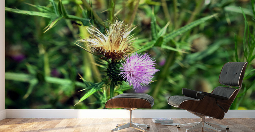 Thistle Be a Good Day Wall Murals