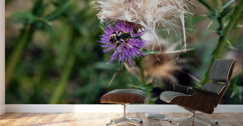 To Bee or Not to Bee  2 Wall Murals