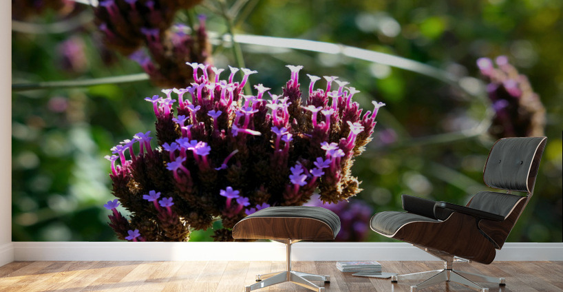 Cluster of Miniature Flowers Wall Murals