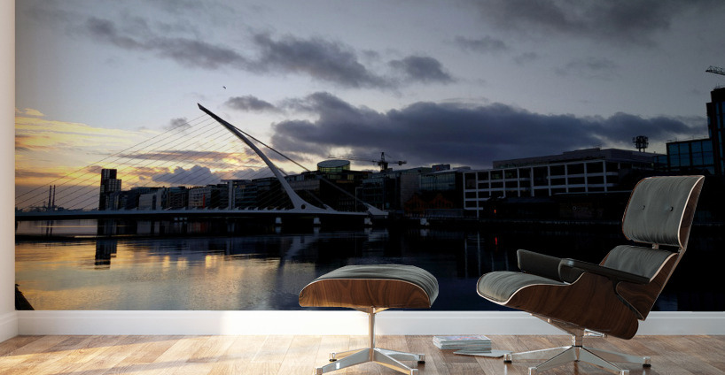 Soaring into the Sunrise Wall Murals