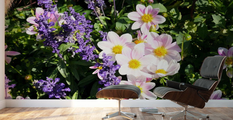 Blushing Petals 2 Wall Murals