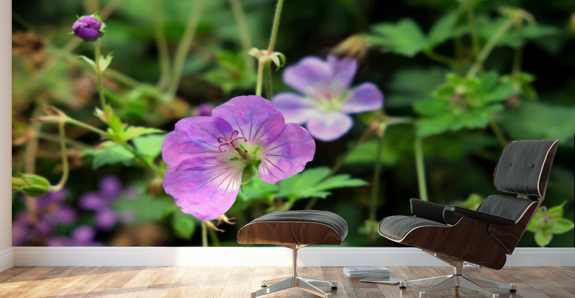 Flower Bloom 8B Wall Murals