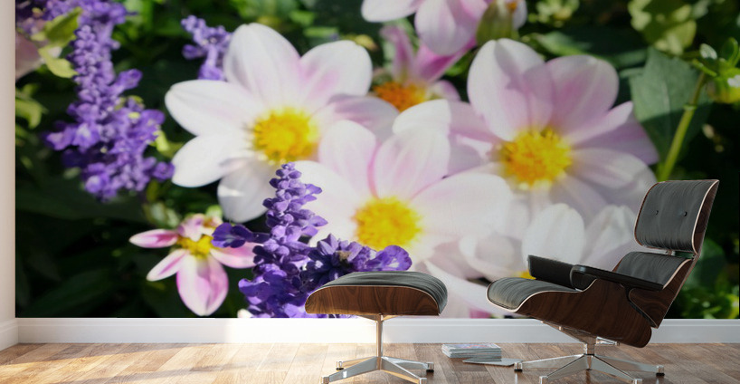 Blushing Petals 2B Wall Murals