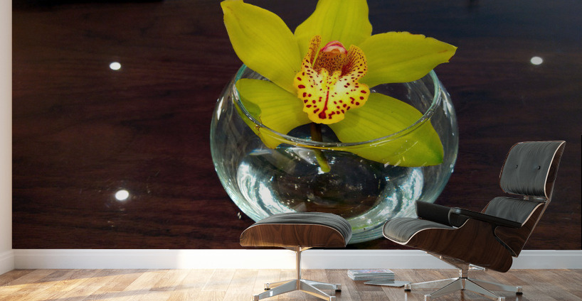 Glass Bloom 2B Wall Murals