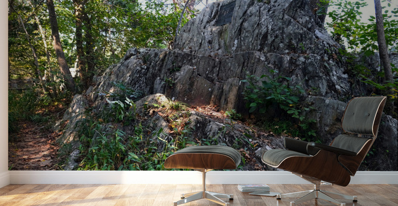 Just Rocking Life  Wall Murals