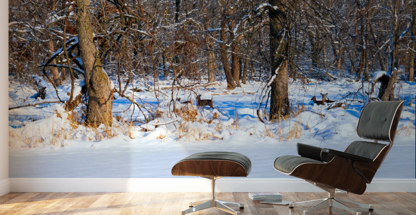 Hiding in Plain Sight Wall Murals